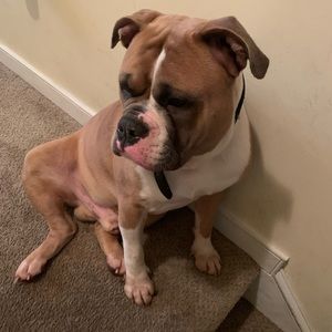 Meet your Posher, Jason